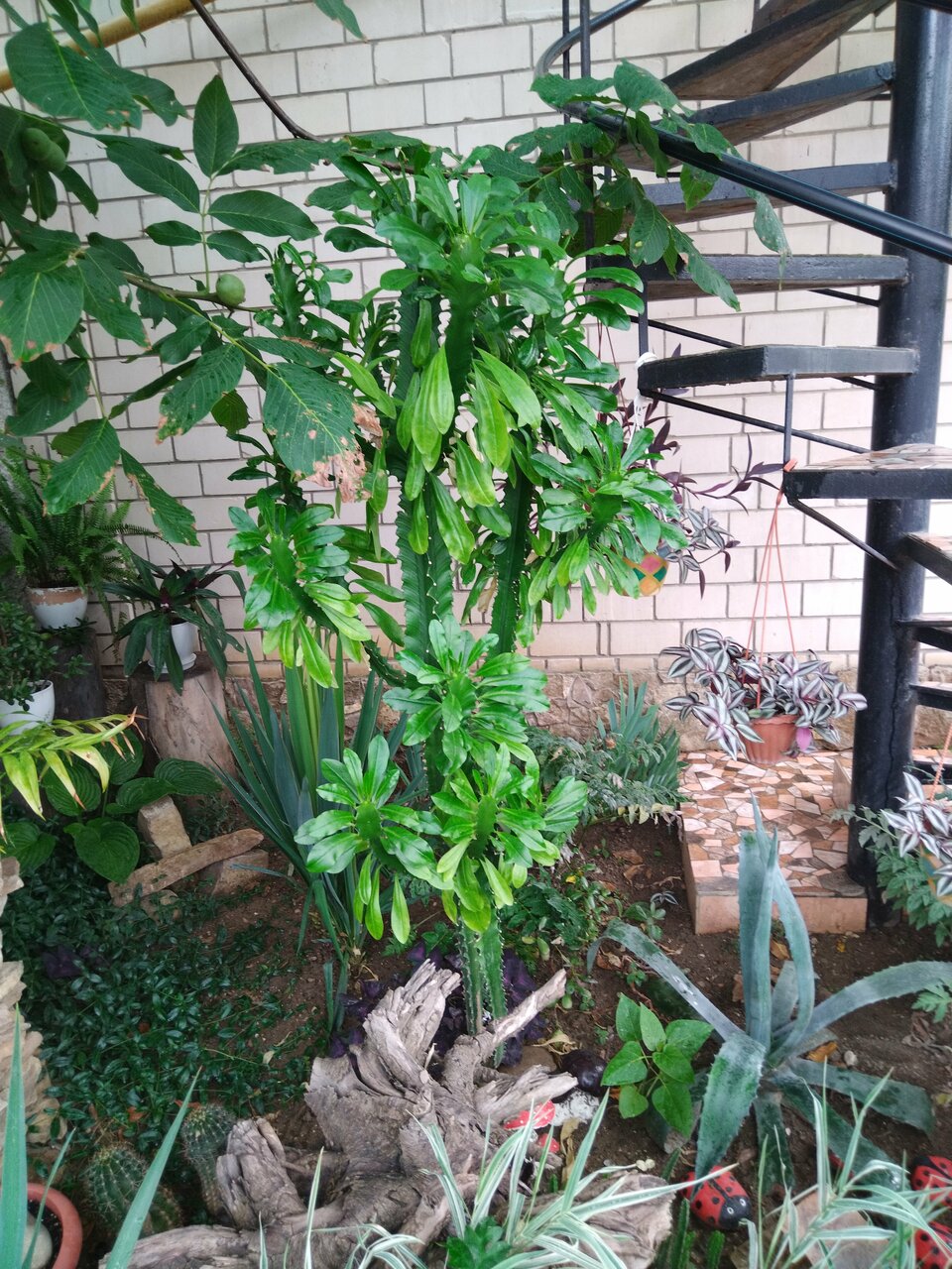 Гостиница Юлия Феодосия-24