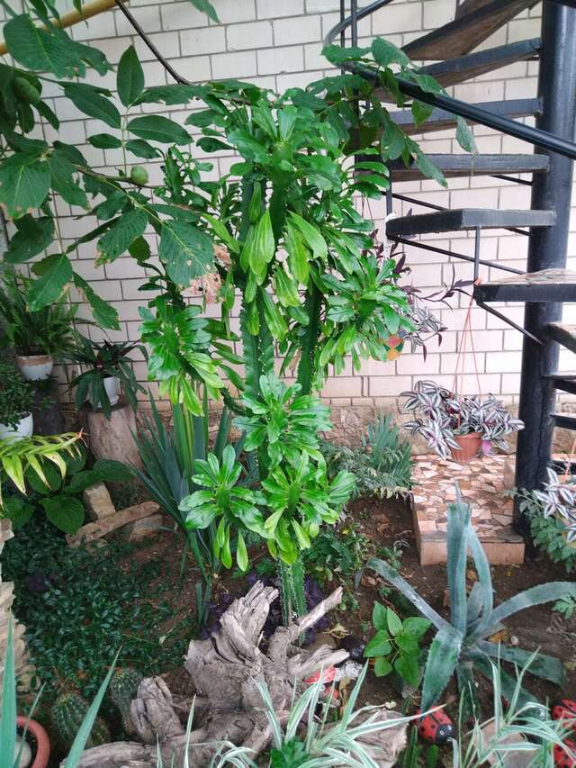 Гостиница Юлия Феодосия-23